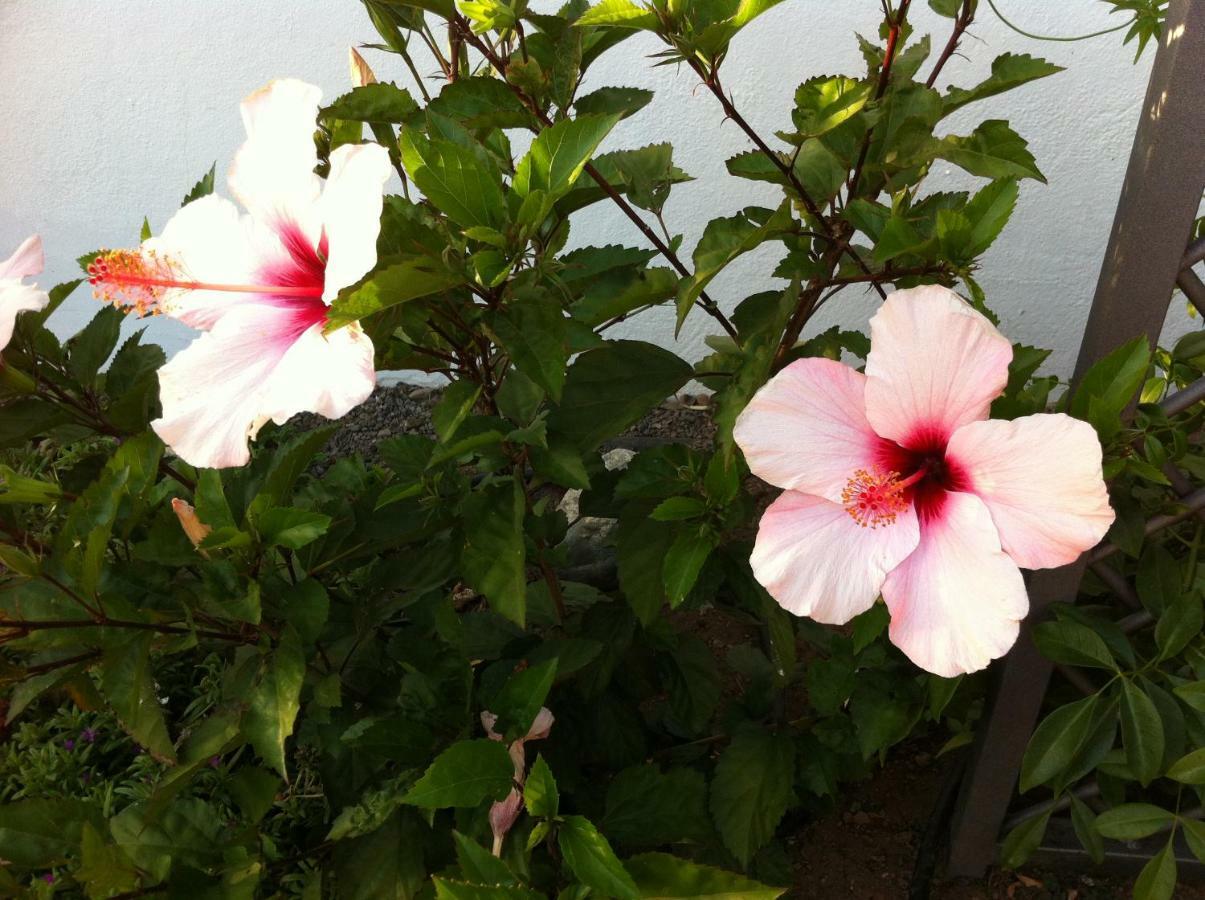 Vakantiehuis La Datura El Paso
