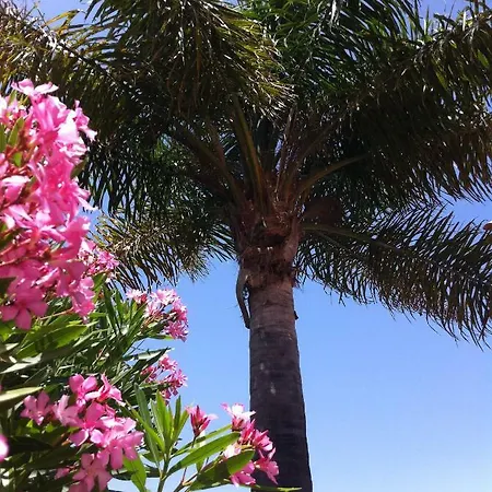 Bungalow La Datura El Paso Buitenkant foto