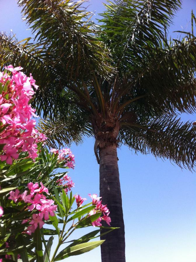 La Datura Casa vacanze